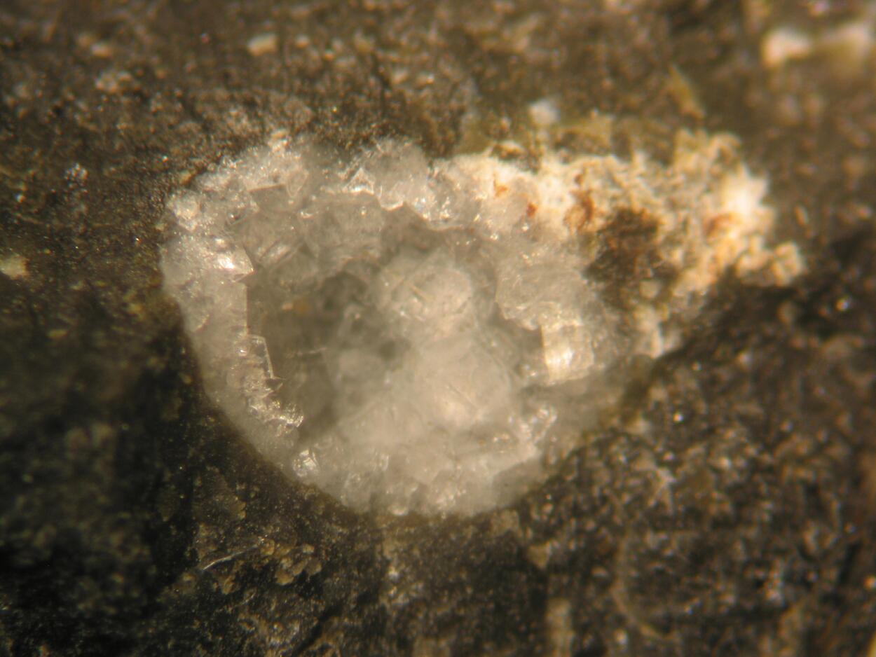 Phillipsite