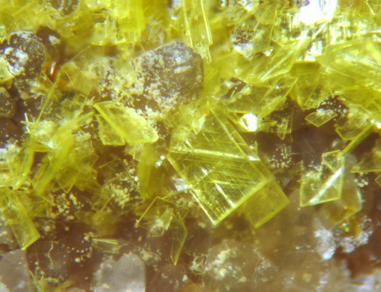 Autunite