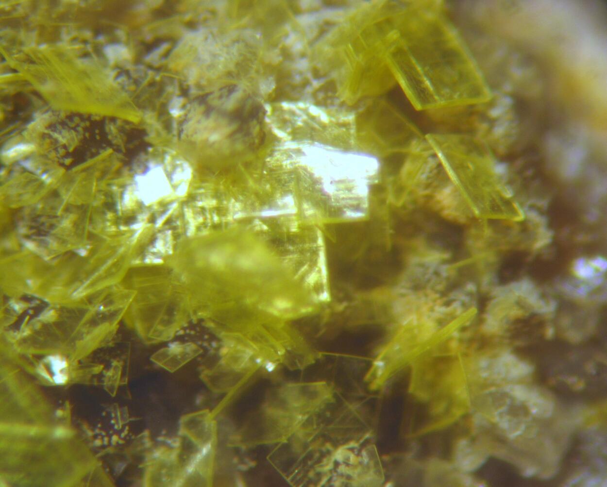 Autunite