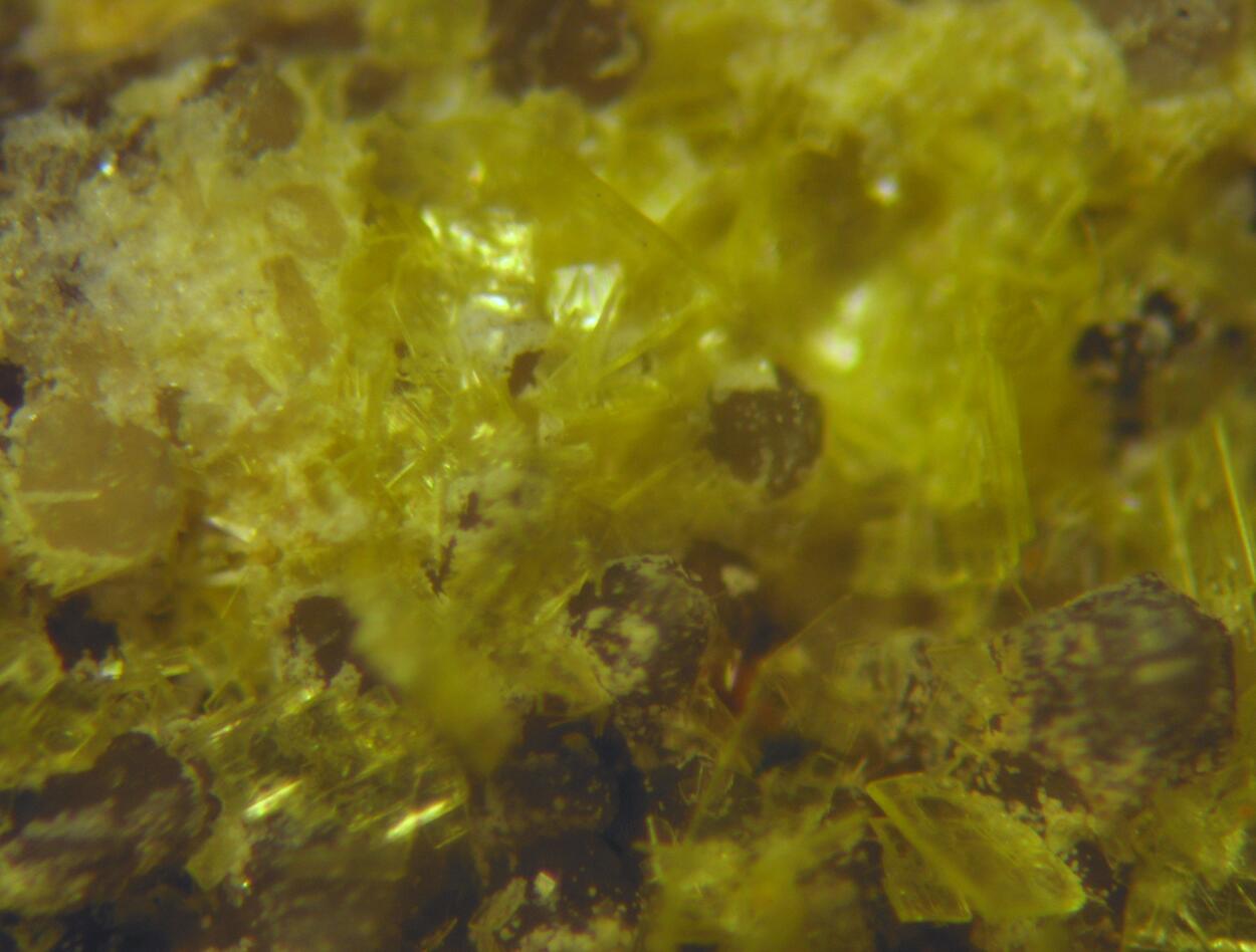 Autunite