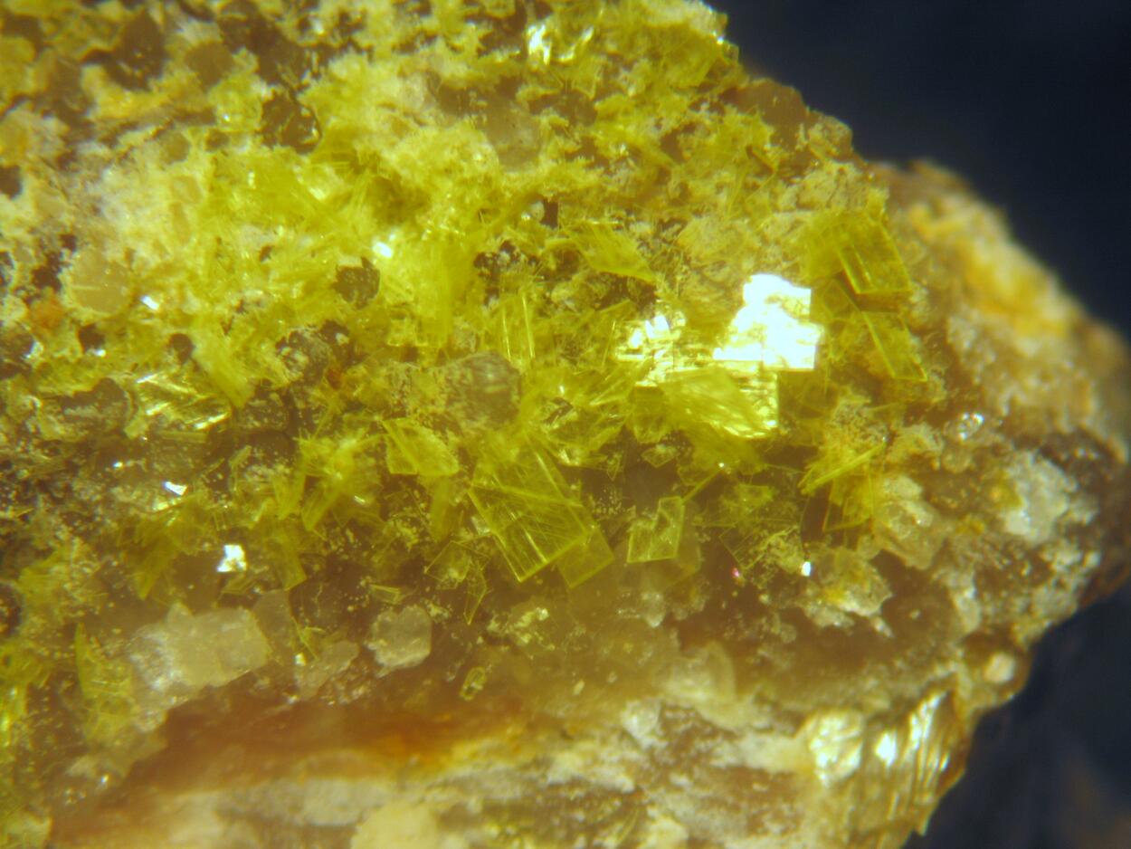 Autunite