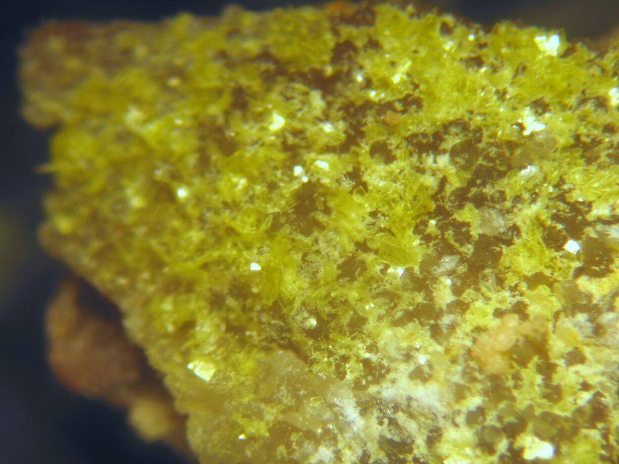 Autunite