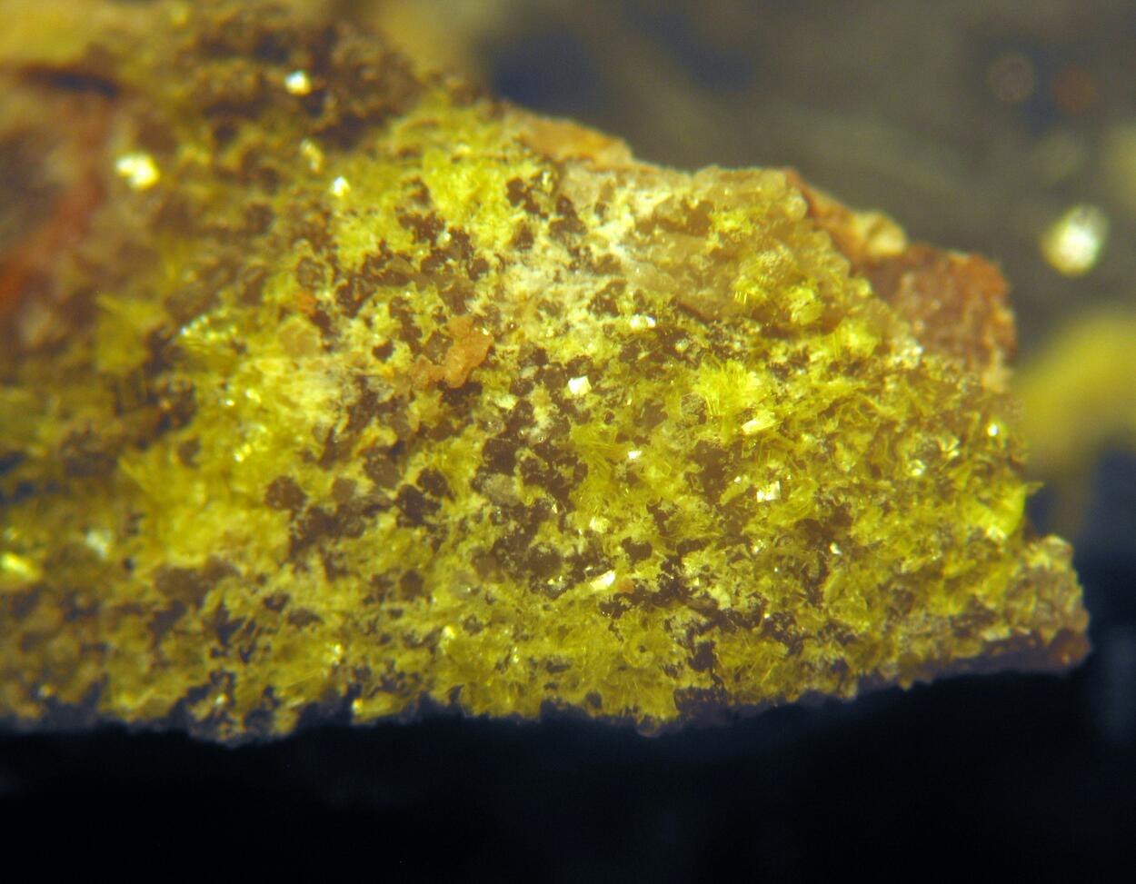 Autunite