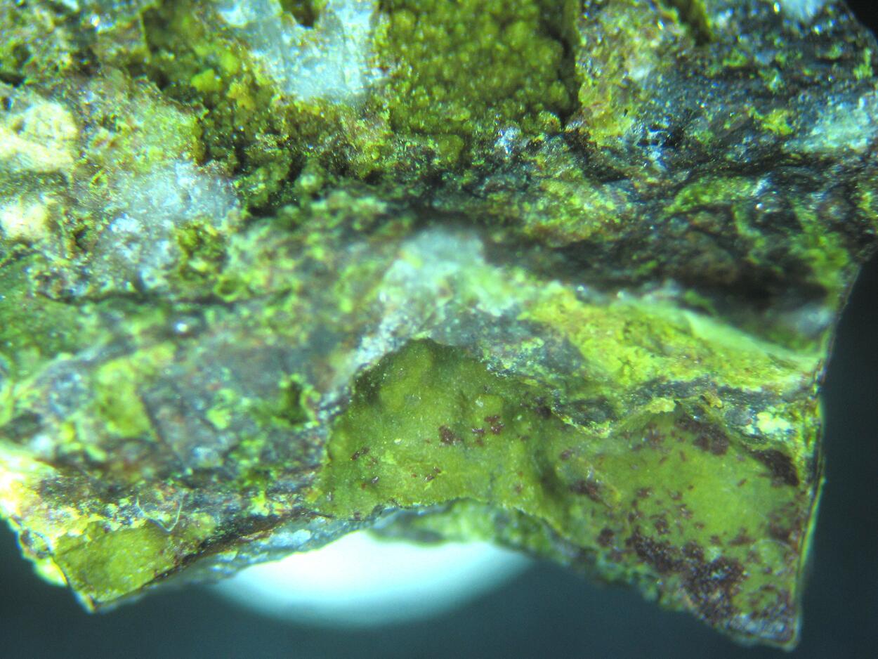 Carminite & Plumbogummite