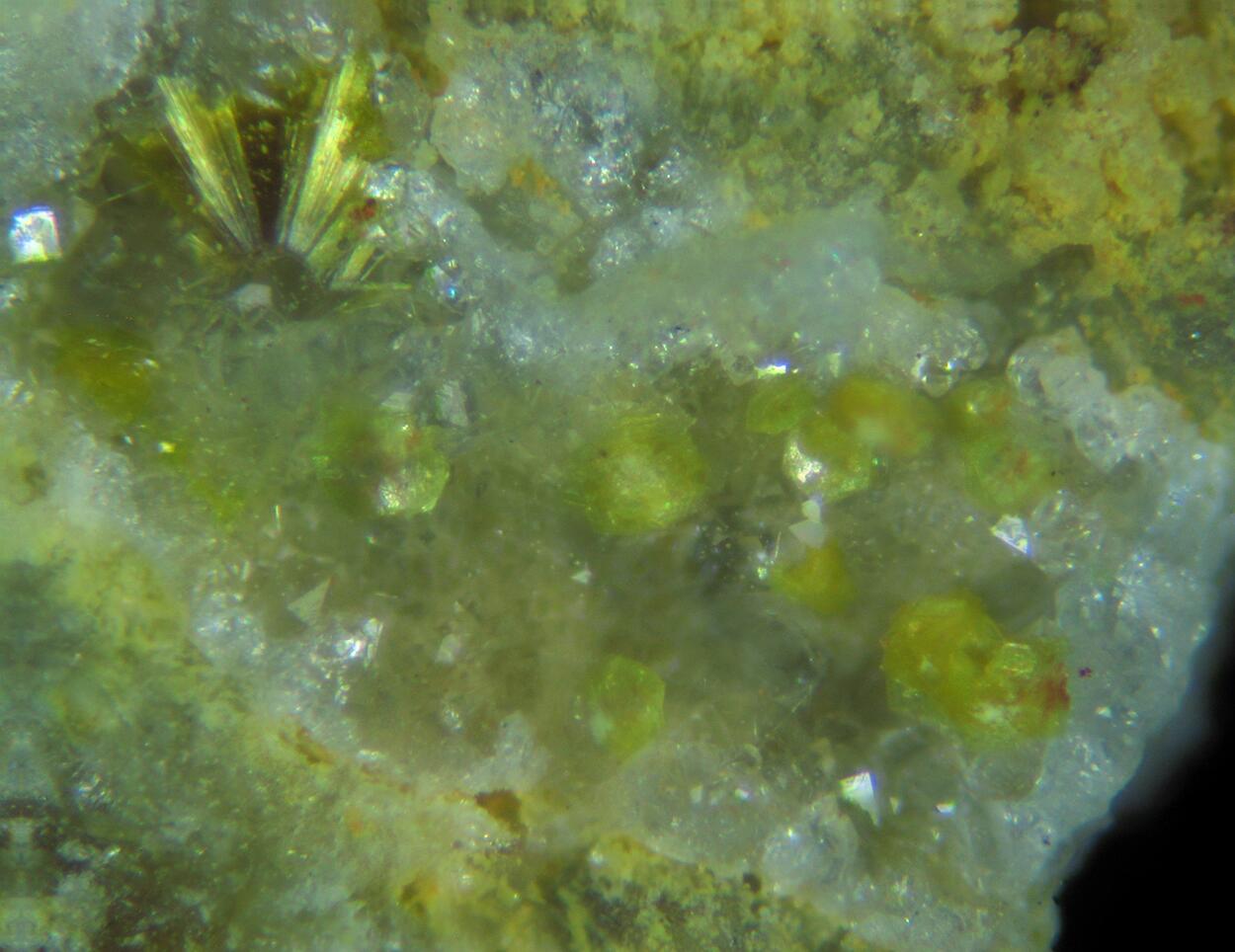 Gorceixite & Cacoxenite