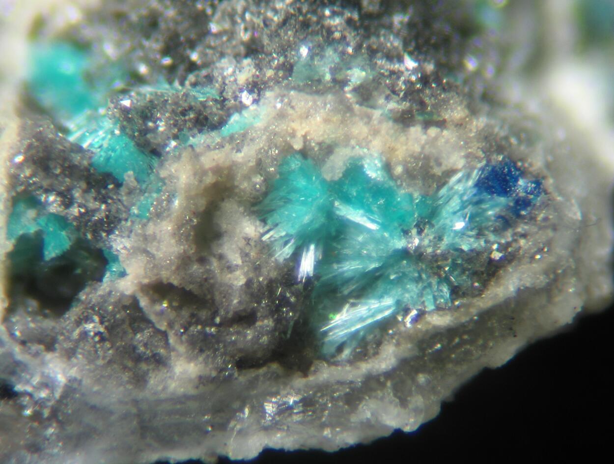 Serpierite Linarite