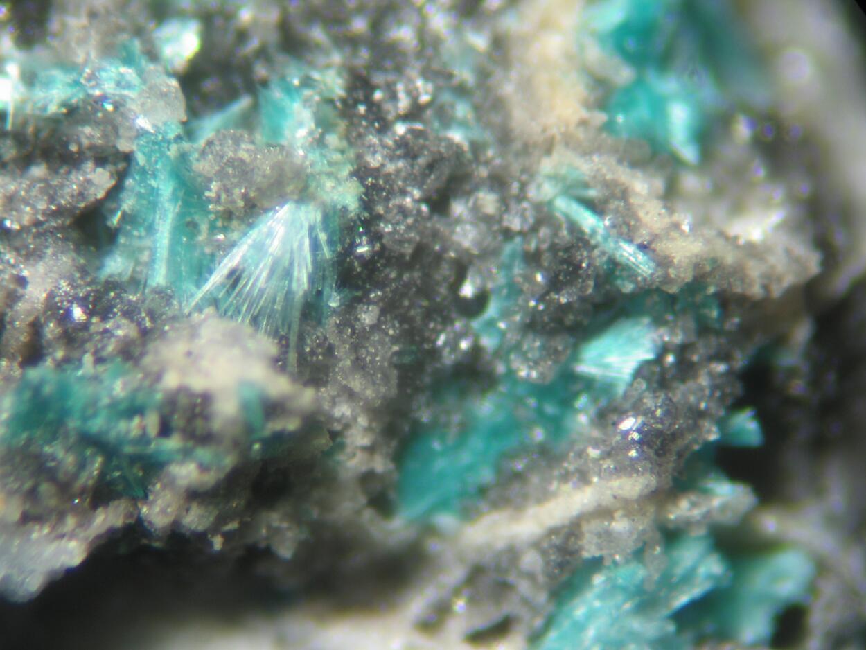 Serpierite Linarite