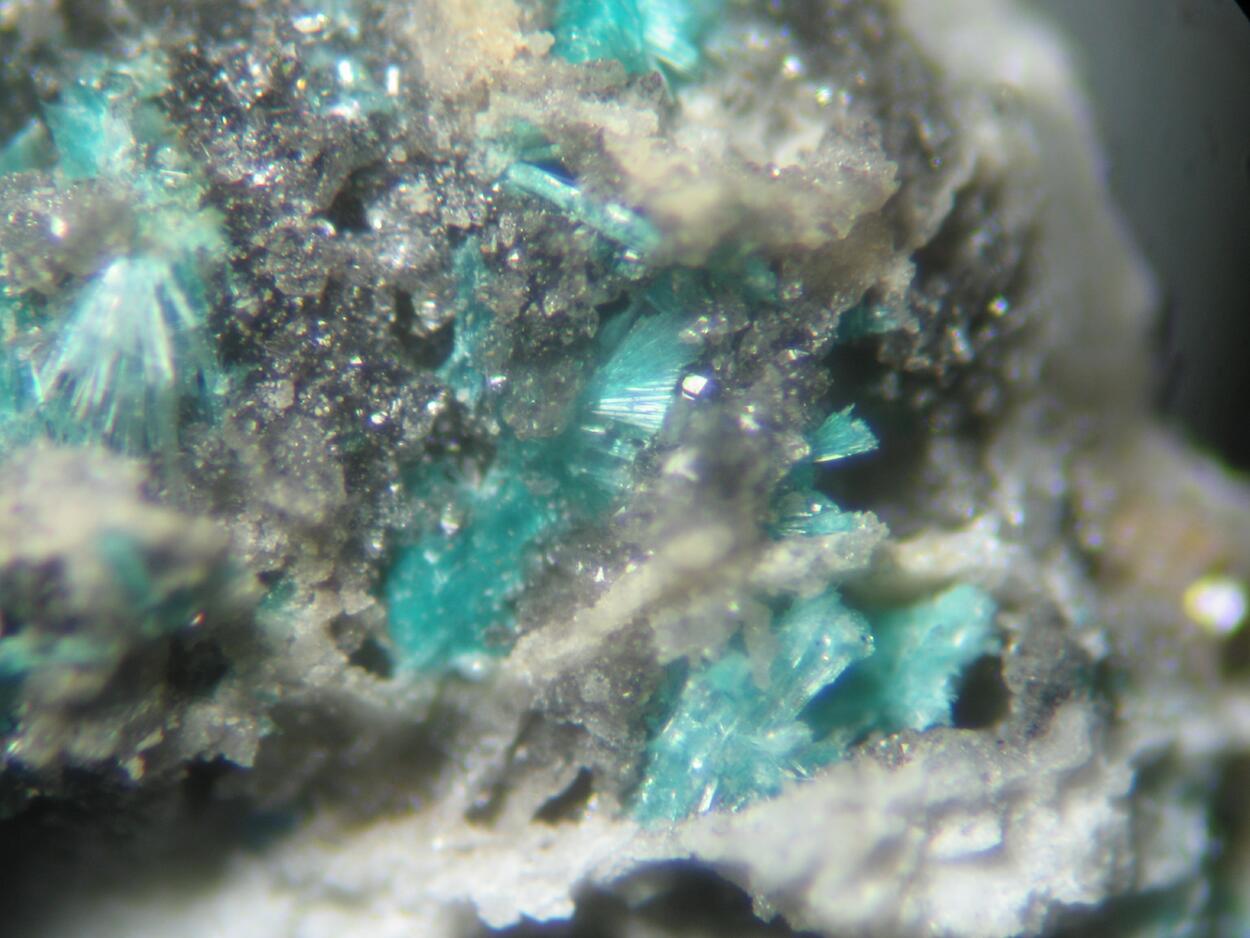 Serpierite Linarite