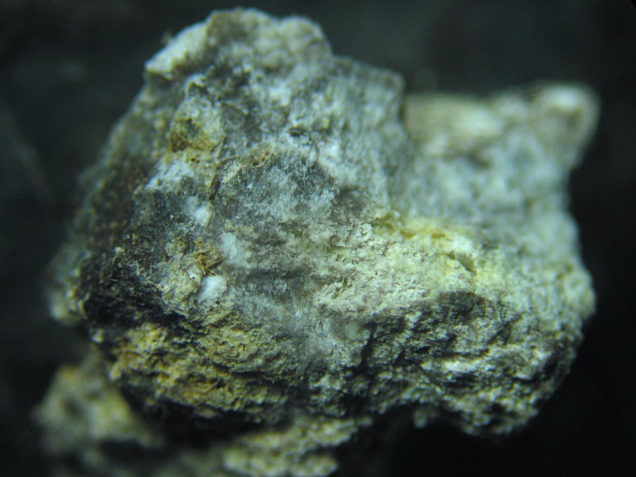 Afwillite & Ettringite