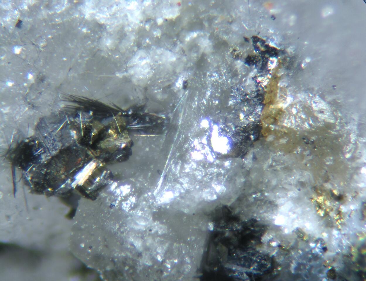 Cosalite Gold Galena Pyrite