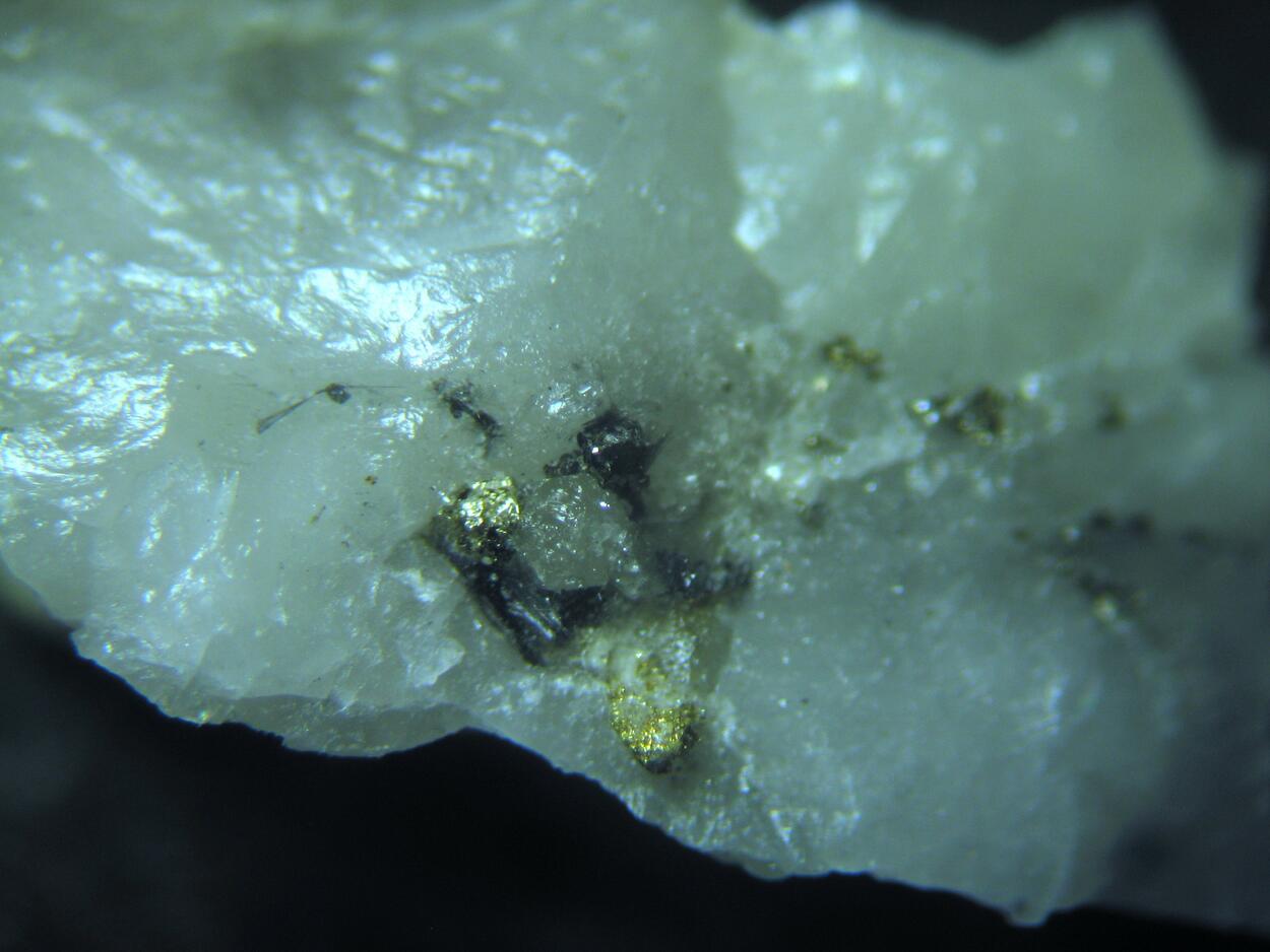 Cosalite Gold Galena Pyrite