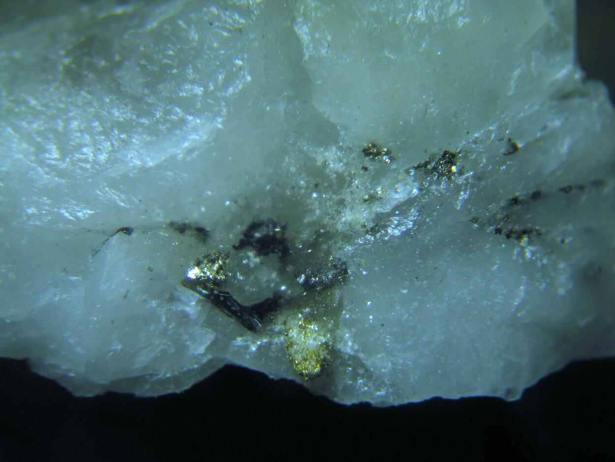 Cosalite Gold Galena Pyrite