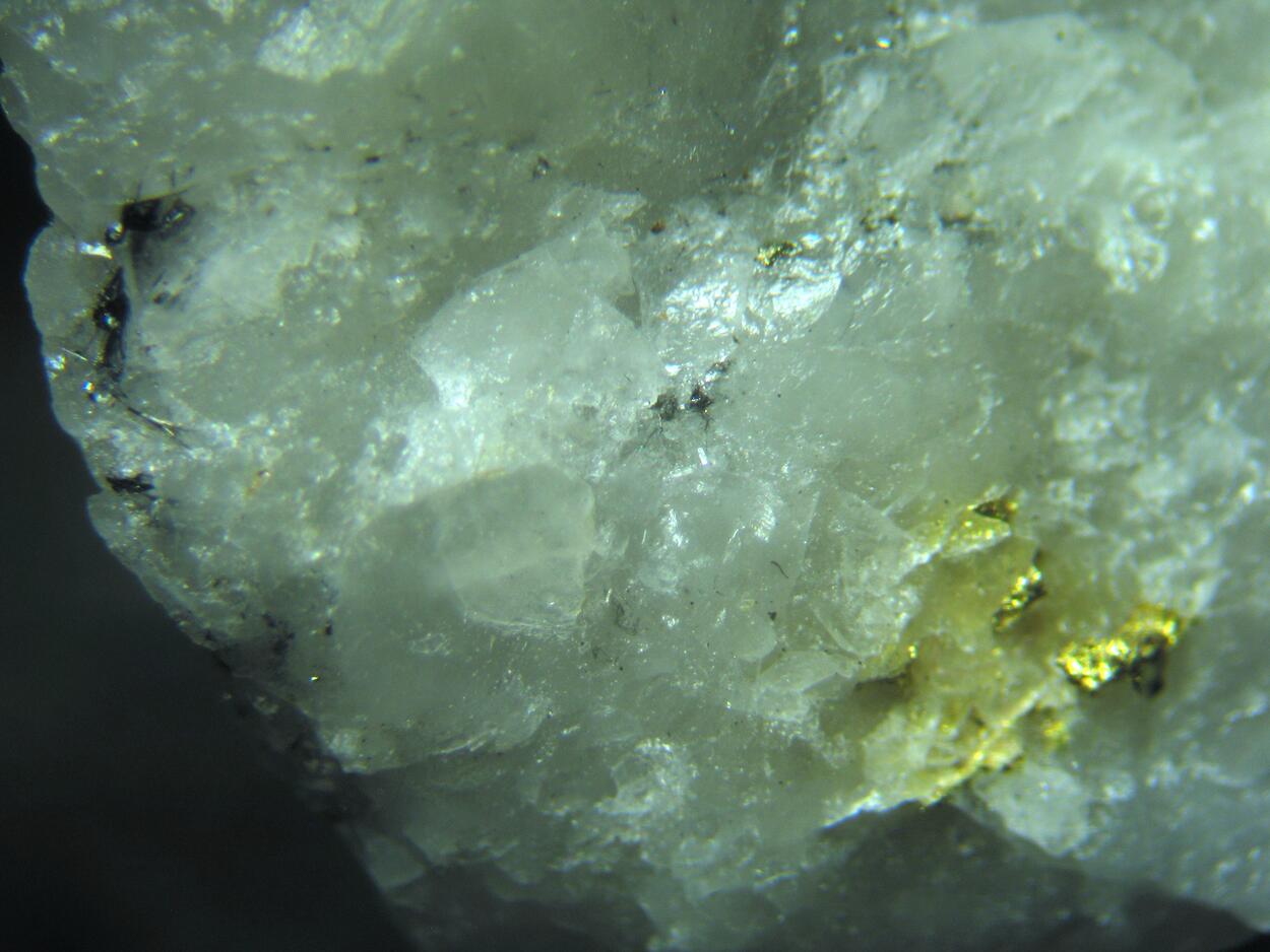 Gold Cosalite Galena