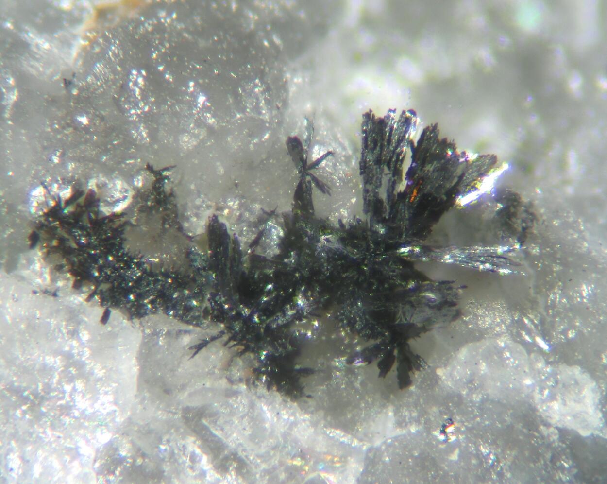 Acanthite