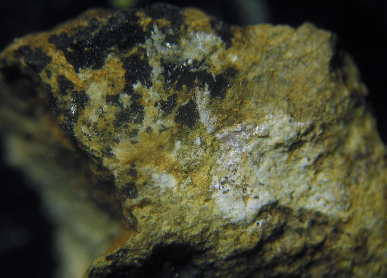 Annabergite