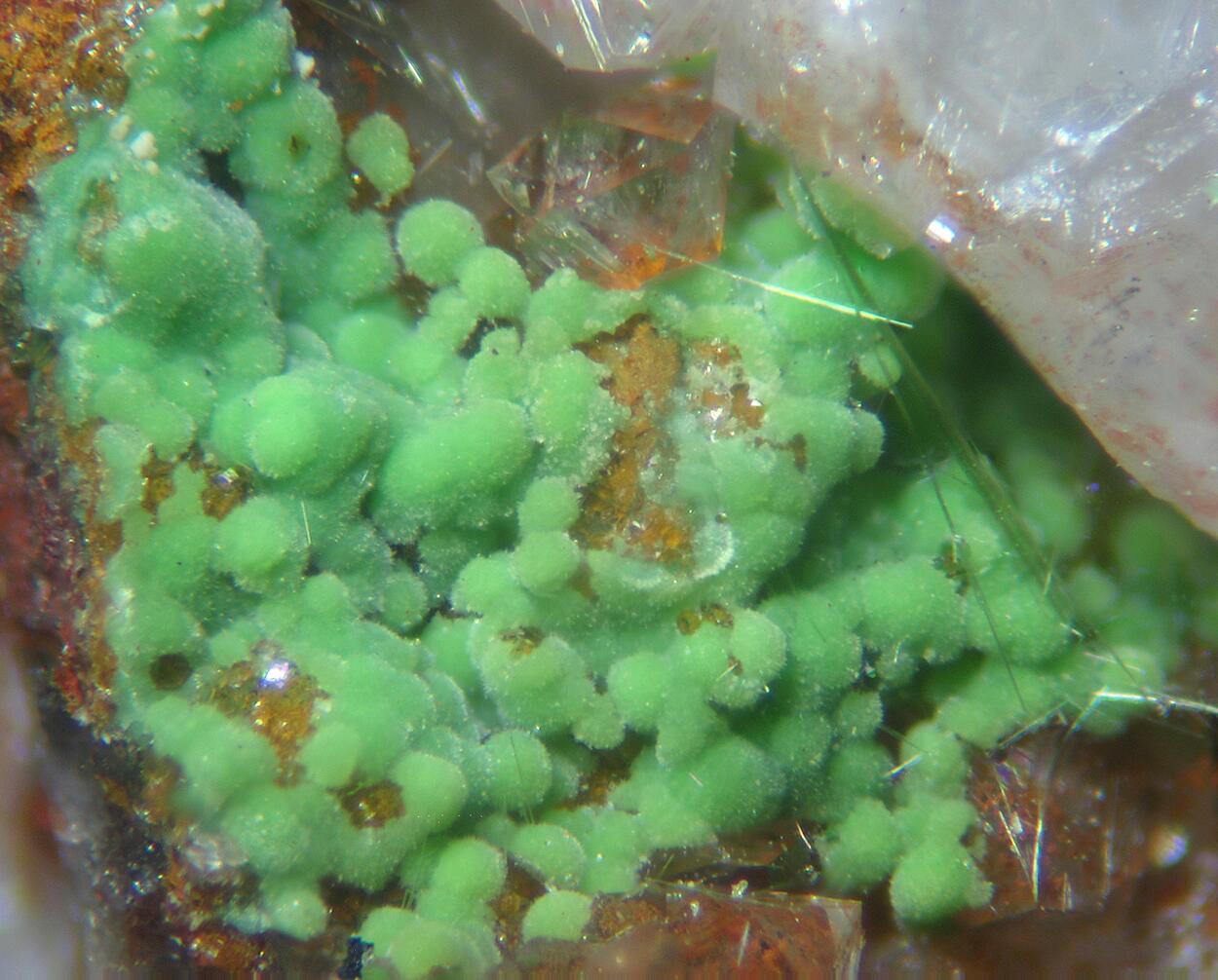 Conichalcite & Agardite-(Ce)