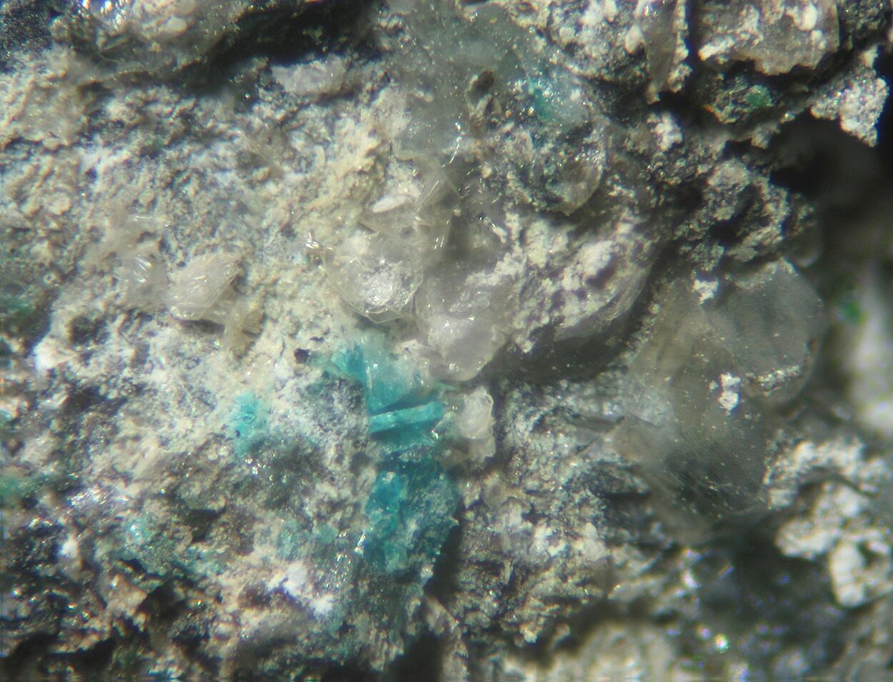 Leadhillite & Langite