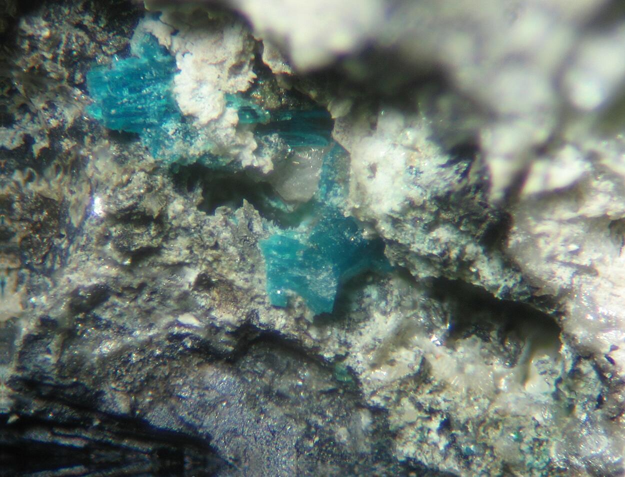 Leadhillite & Langite