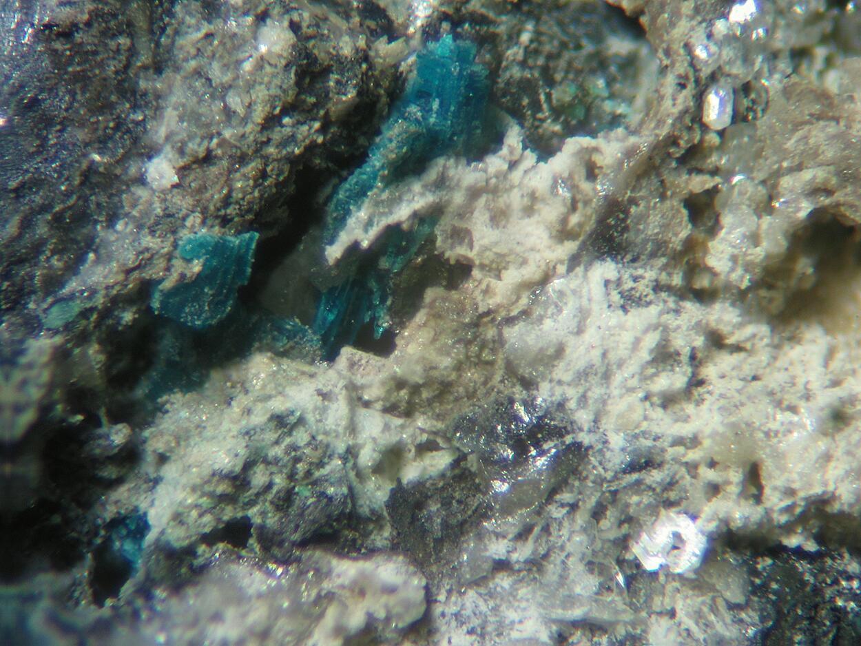 Leadhillite & Langite