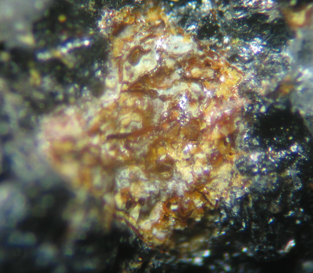 Natanite & Turquoise