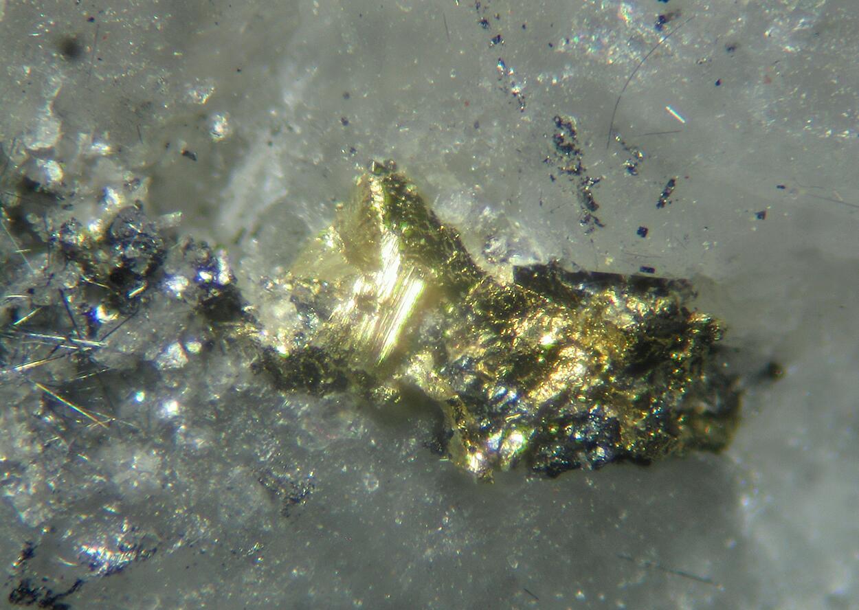 Gold Cosalite Galena