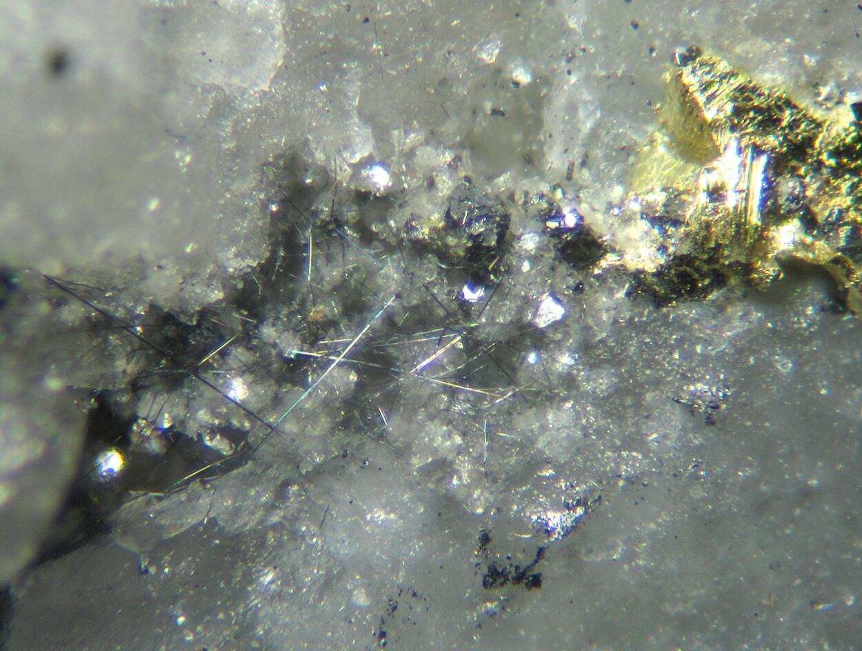 Gold Cosalite Galena