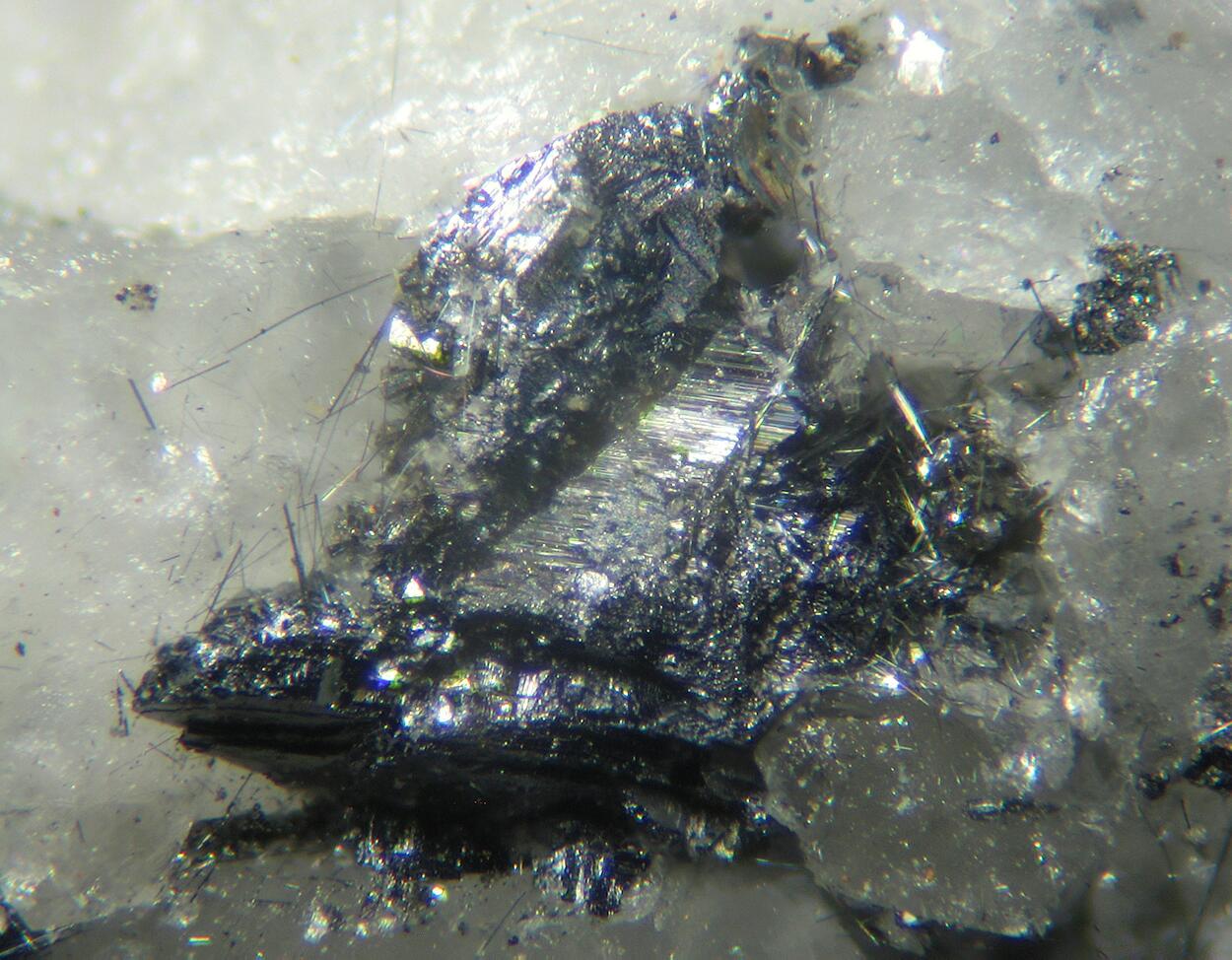 Gold Cosalite Galena