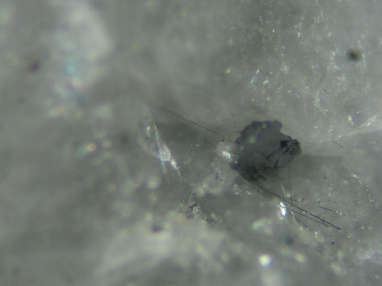 Gold Cosalite Galena