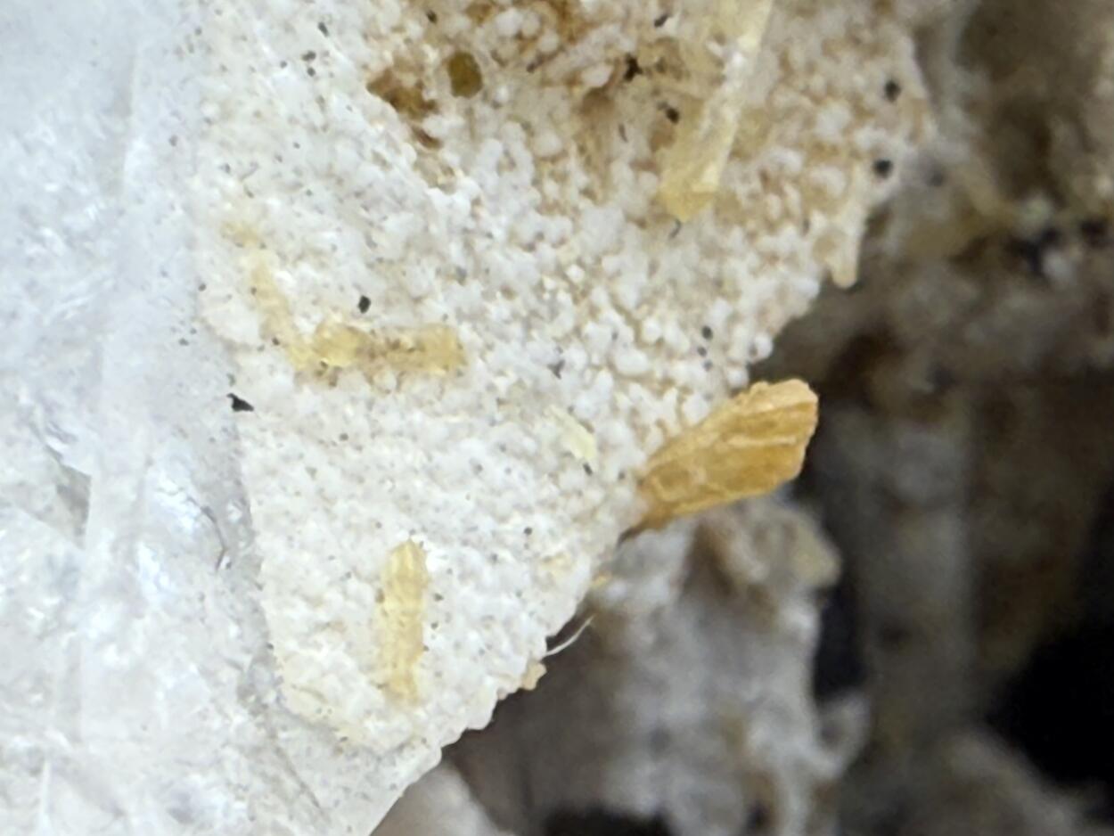 Eosphorite With Topaz Tourmaline & Mica