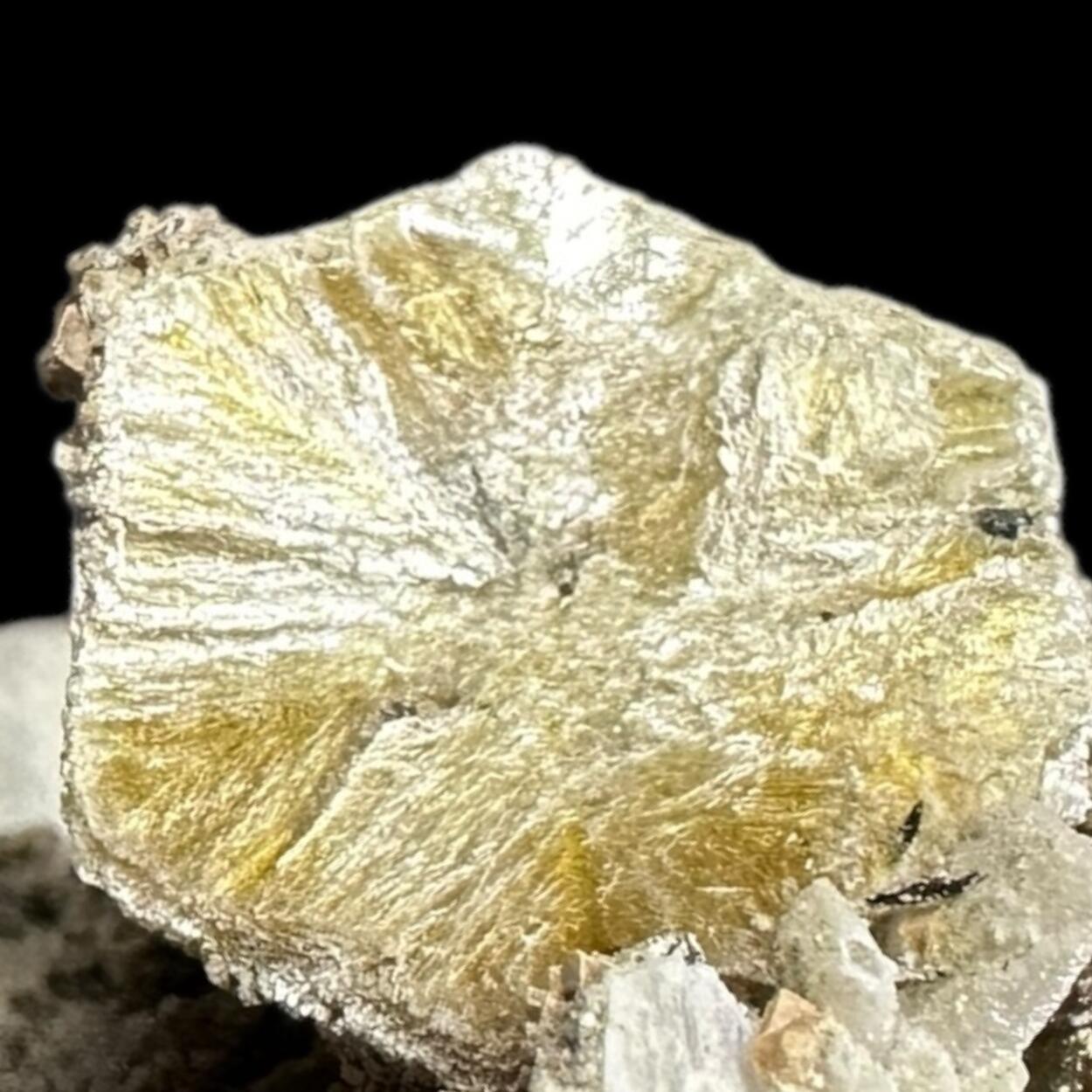 Polylithionite Aegirine & Microcline