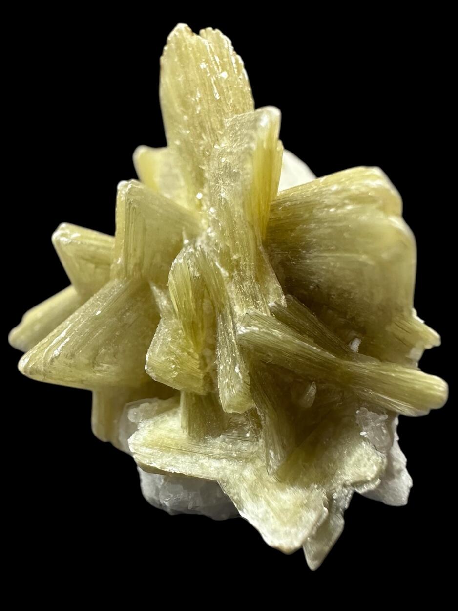 Muscovite On Albite