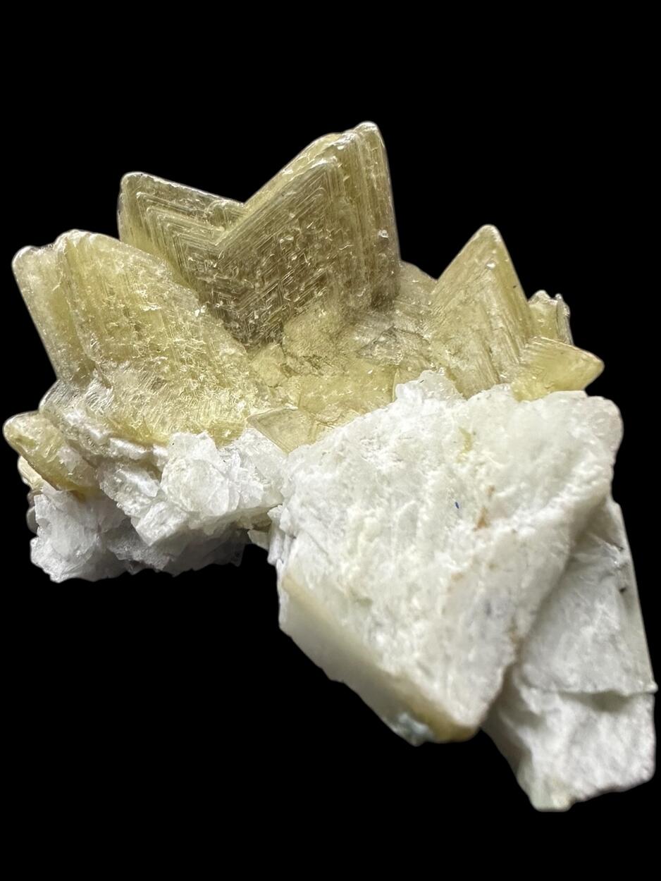 Muscovite On Albite