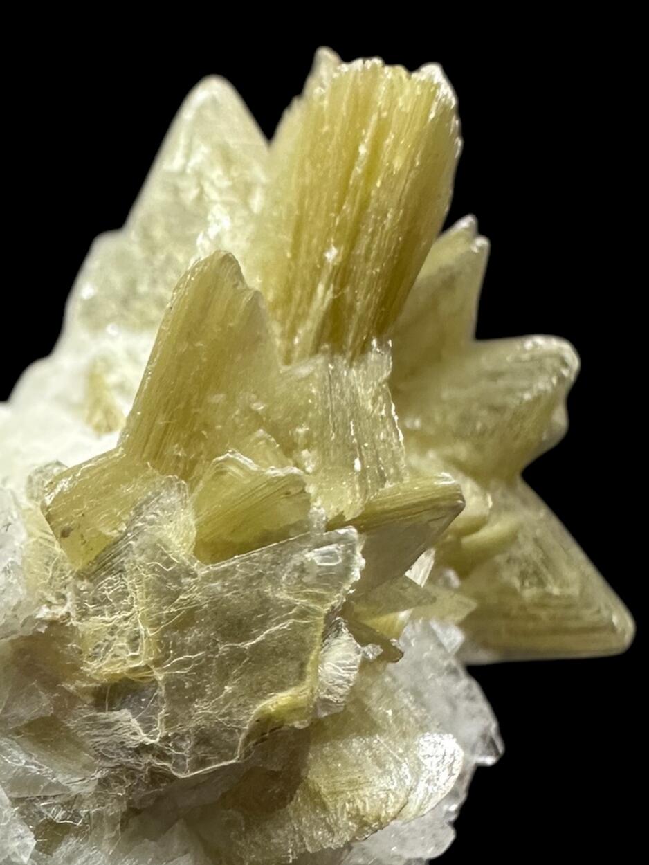 Muscovite On Albite