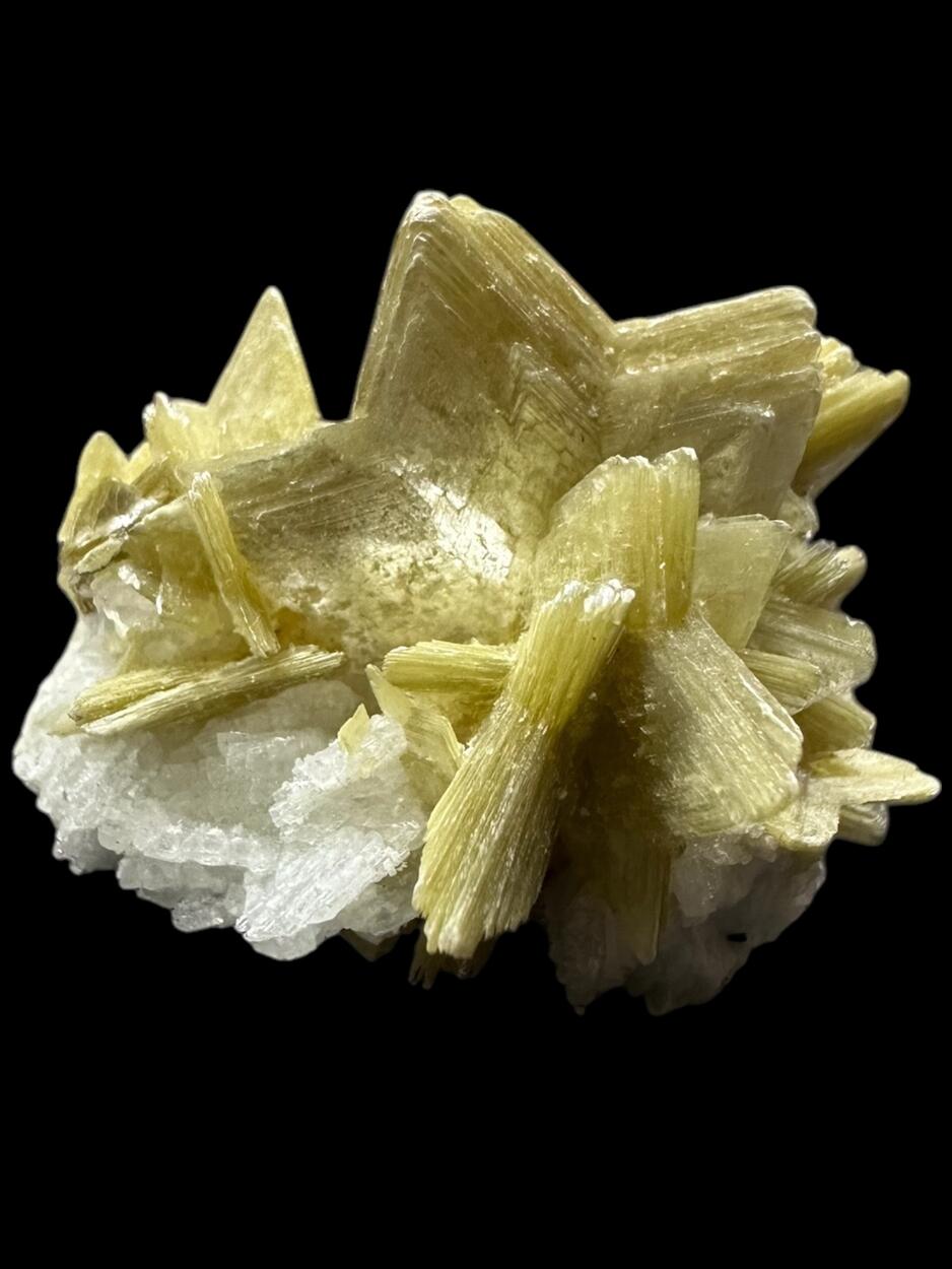 Muscovite On Albite