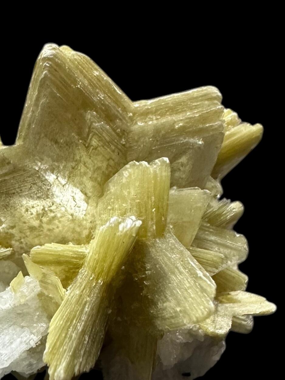 Muscovite On Albite