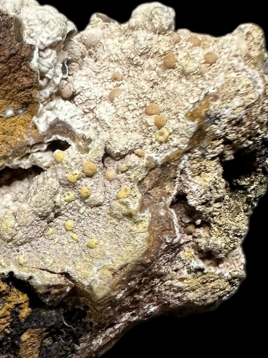 Vanadinite On Hemimorphite