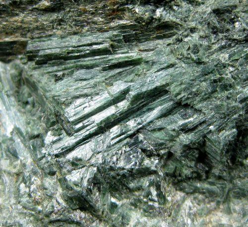 Actinolite