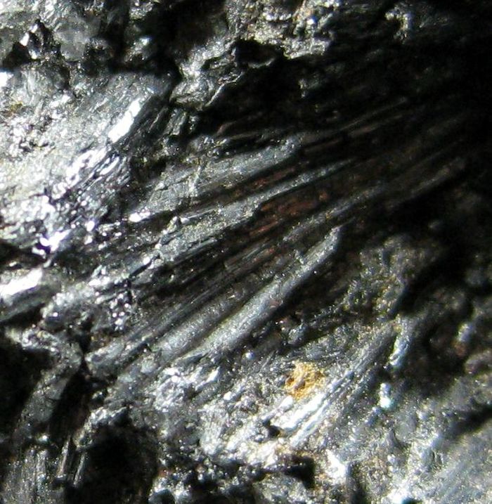 Cylindrite