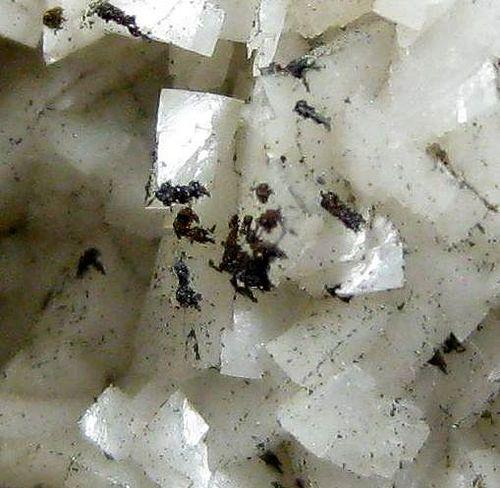 Dolomite With Marcasite