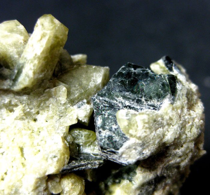 Fassaite With Biotite