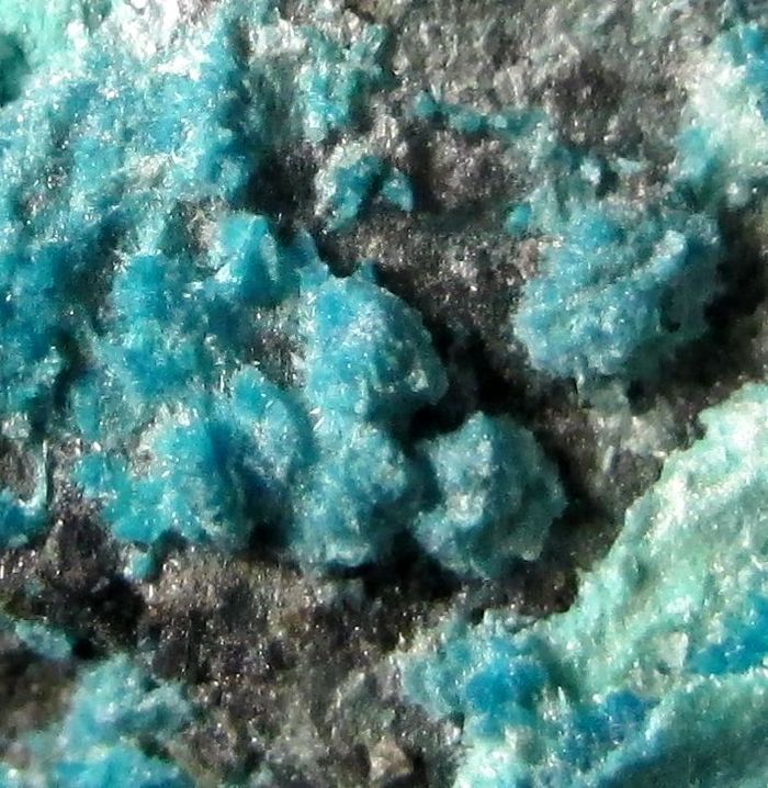 Schulenbergite & Serpierite