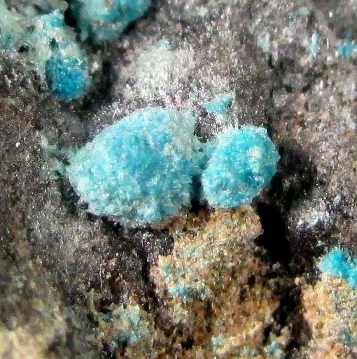Schulenbergite & Serpierite