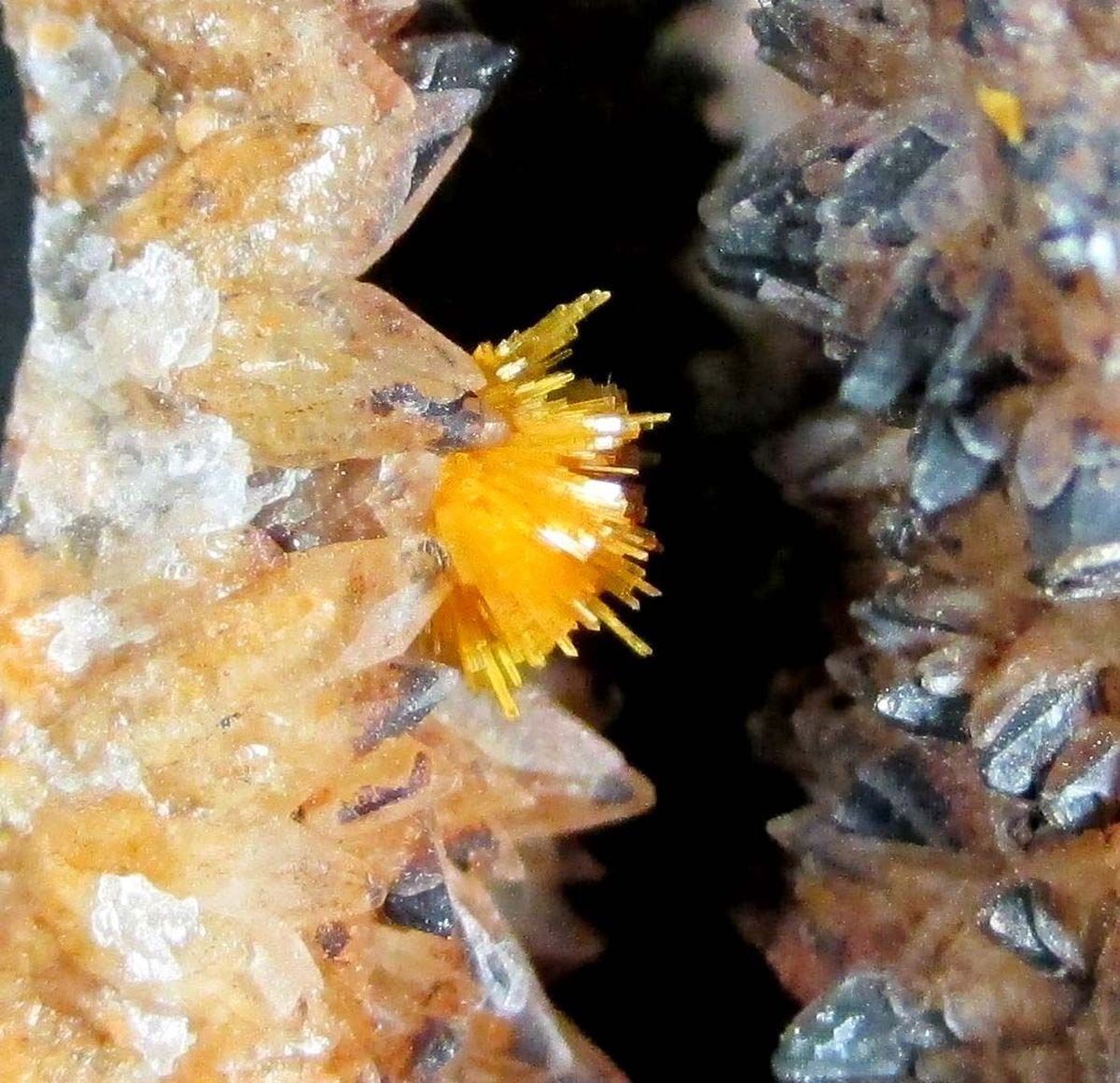 Boltwoodite On Calcite & Pyrolusite