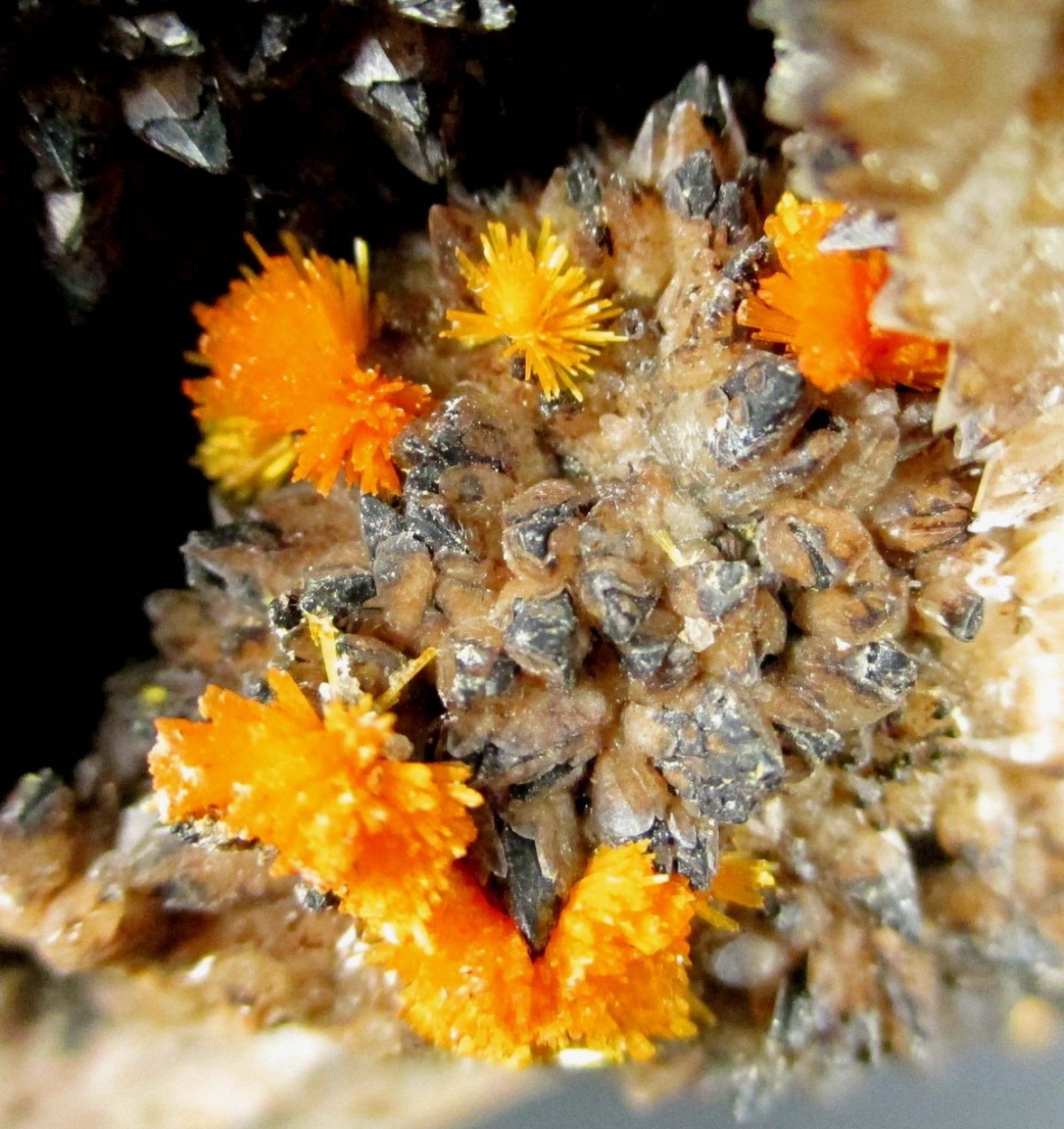 Boltwoodite On Calcite & Pyrolusite