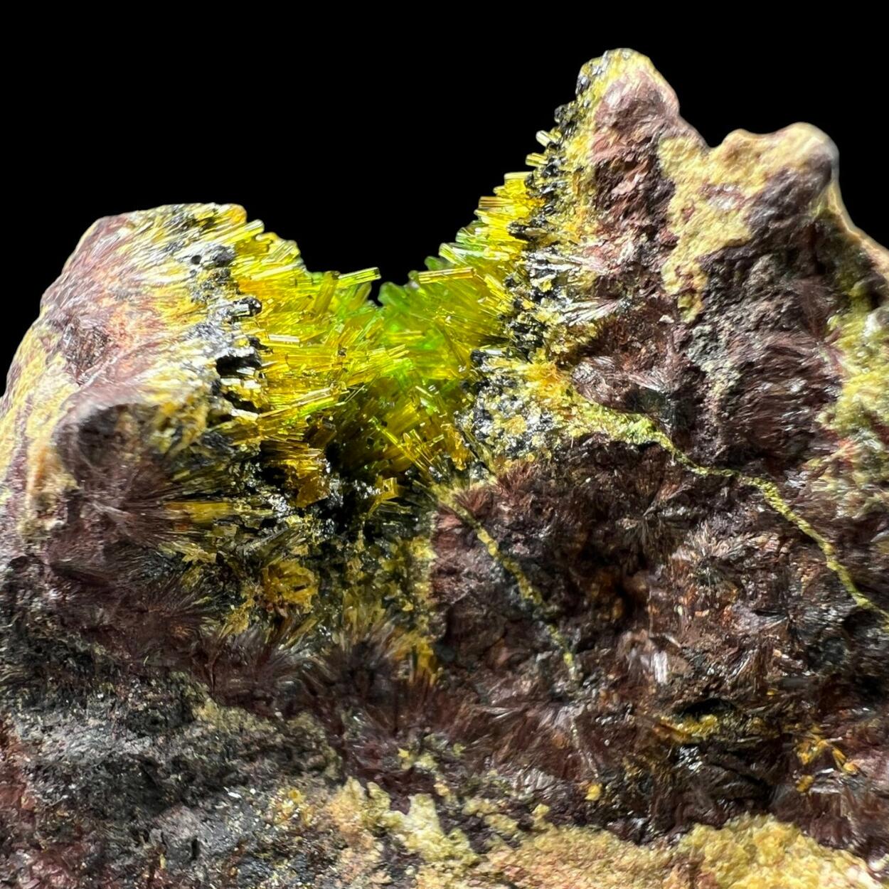 Metastudtite Sklodowskite & Cuprosklodowskite