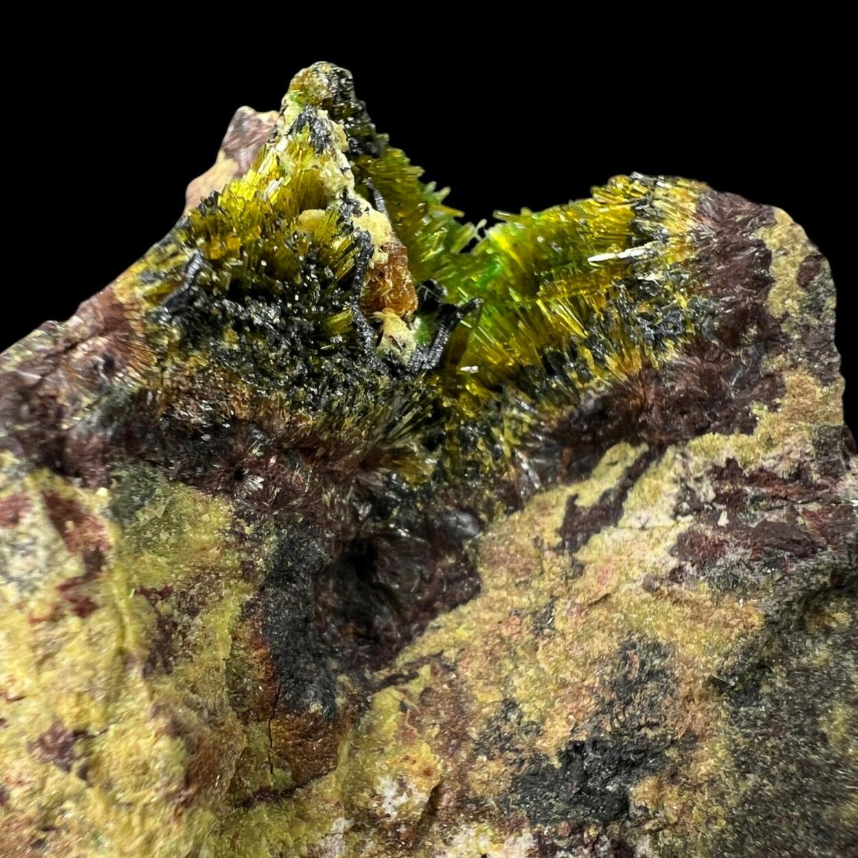 Metastudtite Sklodowskite & Cuprosklodowskite