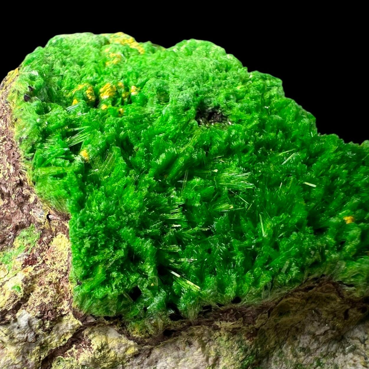 Soddyite Cuprosklodowskite Vandenbrandeite