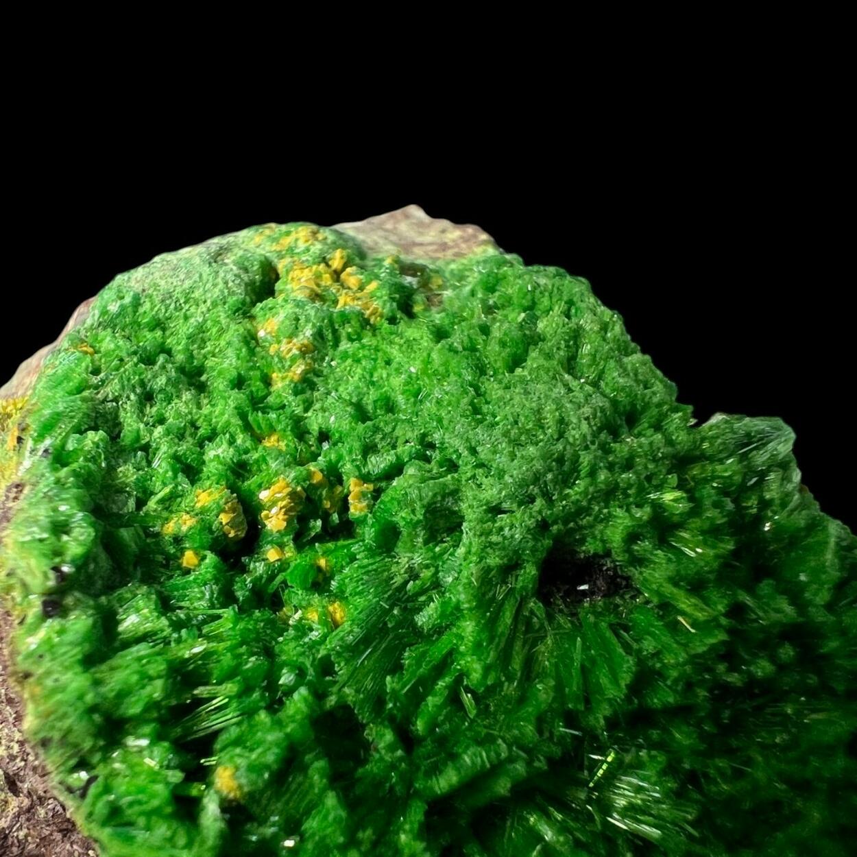 Soddyite Cuprosklodowskite Vandenbrandeite