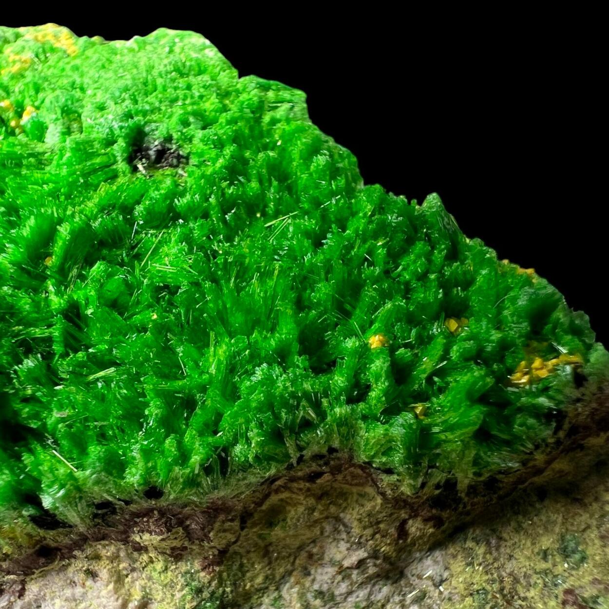 Soddyite Cuprosklodowskite Vandenbrandeite