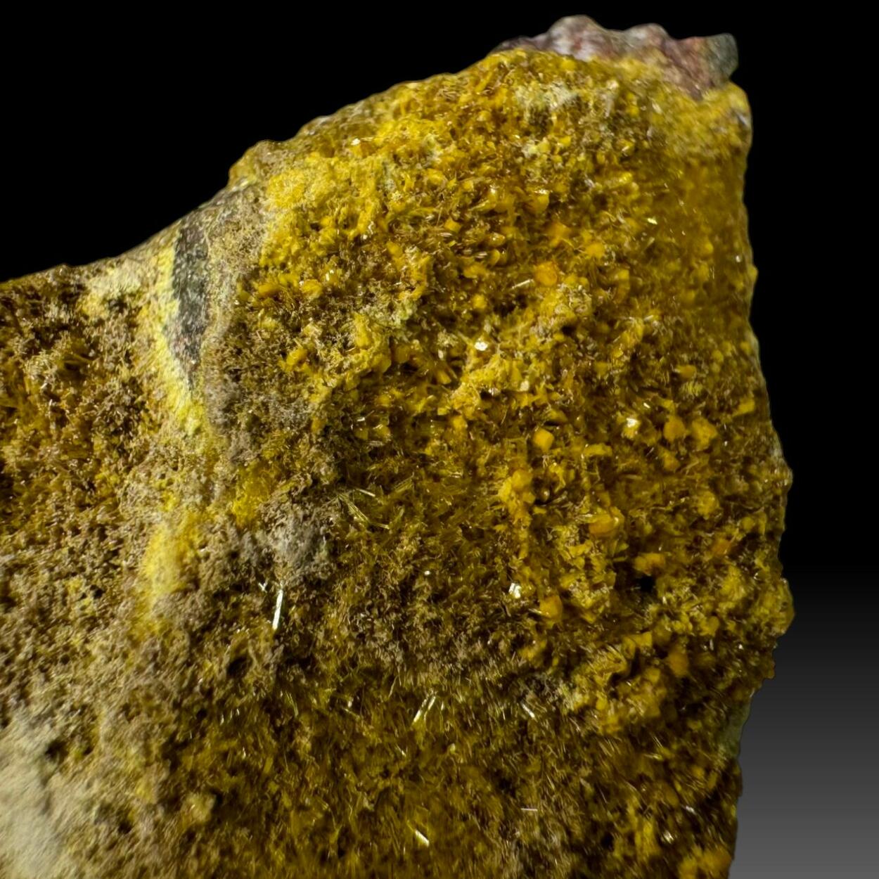 Rutherfordine Soddyite Uranophane